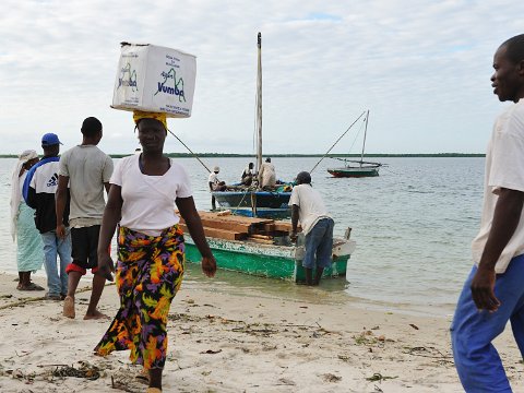 _027330-F2010___6600 Mozambique, Ibo, déchargement sur le port