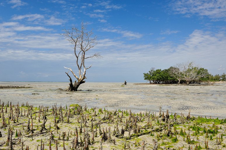 Mozambique