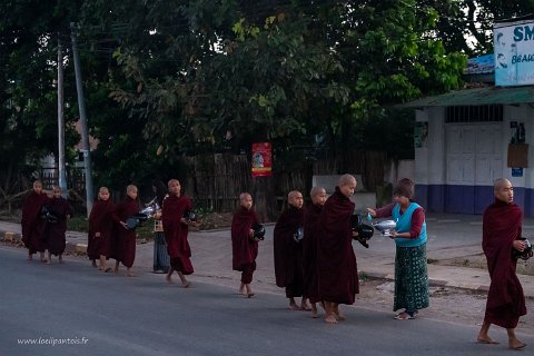 20191126__00041-9 Par cette offrande, la population s'assure un meilleur karma qui la conduira à des réincarnations ultérieures meilleures. Cette offrande est donc vécue comme un...