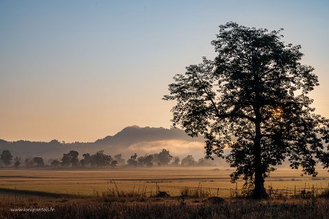 20191126__00213-3 Paysages autour de Loikaw