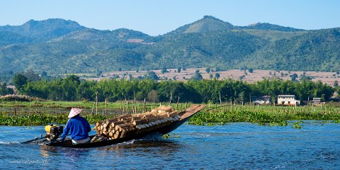 20191124__00124-33 Le long du canal qui relie le lac Inle au lac Sagar, casiers de pêche