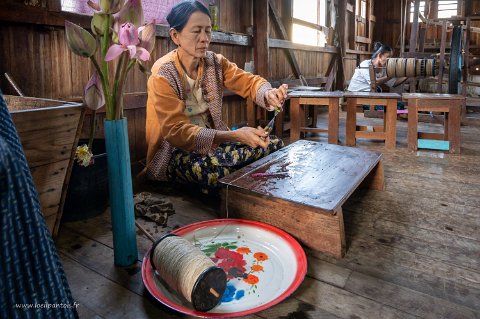 20191122__00289-127 Myat Pwint Chel, Tissage de soie de lotus, tirage des fils du lotus,on coupe un petit tronçon de 5 cm environ et on dévide le fil qui y est contenu, puis on...