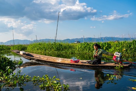 20191122__00289-178 Lac Inle, au milieu des jardins flotants