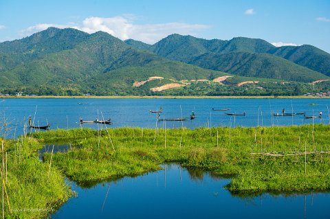 20191122__00289-182 Lac Inle au milieu des montagnes avec les jardins flottants et les innombrables pêcheurs