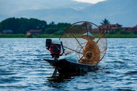 20191122__00171-123 Lac Inle, pêcheur Intha au casier conique (le saung). C'est sans doute la méthode la plus connue du Lac Inle, parce que popularisée par les faux pêcheurs de...