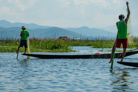 20191122__00171-59 Lac Inle, pêcheurs inthas au filet, devant les jardins flottants