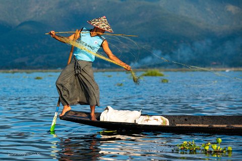 20191122__00171-96 Lac Inle, pêcheur intha au filet.: en équilibre sur un pied, manoeuvrant la rame de l'autre, le pêcheur a les mains libres pour jeter son filet, puis frapper...