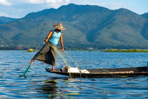 20191122__00171-99 Lac Inle, pêcheur intha au filet.: en équilibre sur un pied, manoeuvrant la rame de l'autre, le pêcheur a les mains libres pour jeter son filet, puis frapper...