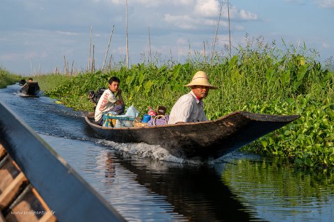 20191122__00289-239 Lac Inle, dans les sentiers...