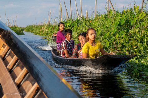 20191122__00289-243 Lac Inle, dans les sentiers...