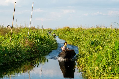 20191122__00289-248 Lac Inle, dans les sentiers...