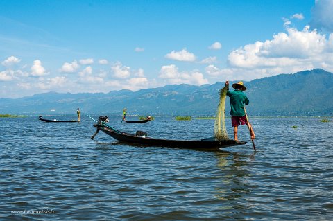 20191122__00289-84 Lac Inle, pêcheurs Intha au filet. Le lac Inle est un lac de montagne situé à 885m, de 120km2 et d'une profondeur de 2 à 3m. sa surface et sa profondeur ont...