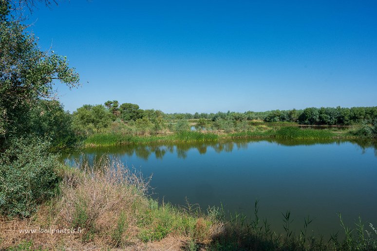 20230520__00086-65 Pisciculture de 15ha près de l'Amou Daria, élève essentiellement des rutilus kutum, des sortes de carpes et des poissons chats. Le propriétaire actuel l'a...