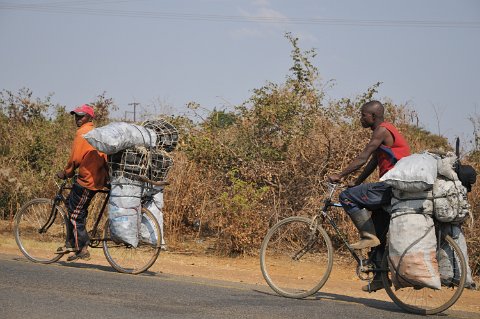 DSD_6148 zambie, vendeurs de charbon de bois arrivant de la province à Lusaka
