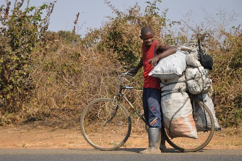 DSD_6149 zambie, vendeurs de charbon de bois arrivant de la province à Lusaka