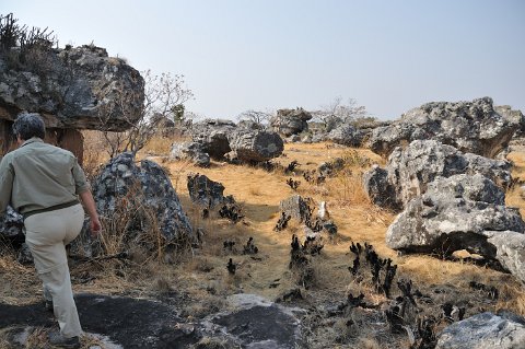 DSD_6262 Zambie, près de kasama,, visite (accompagnée) des rochers peints (peuple twa, 2000 ans)