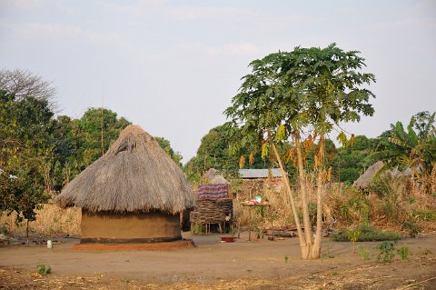 DSD_7224 Zambie, kawasa village, south Luangwa