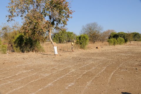 DSD_5095 zambie, songwe village (pres de livingstone): ecole primaire, le stade